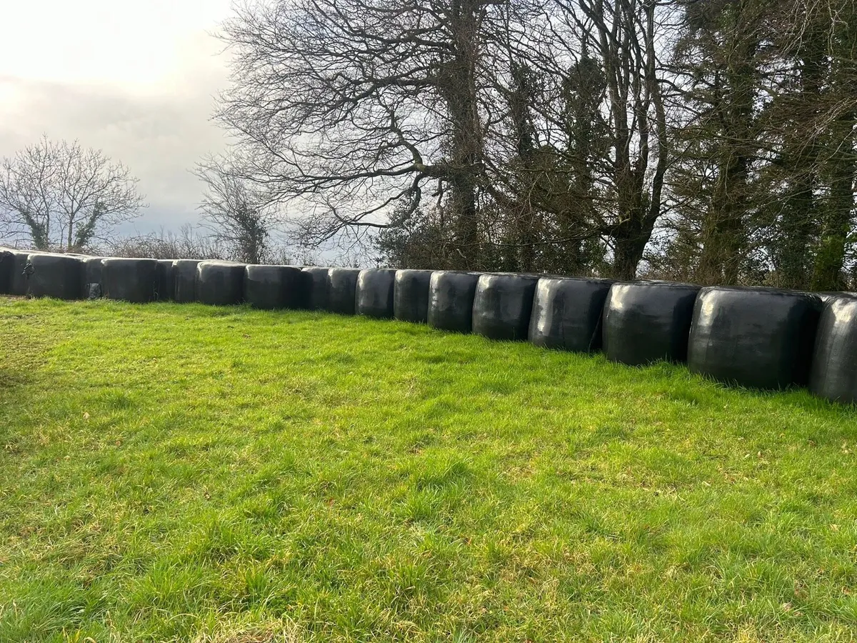 50 bales of silage - Image 3