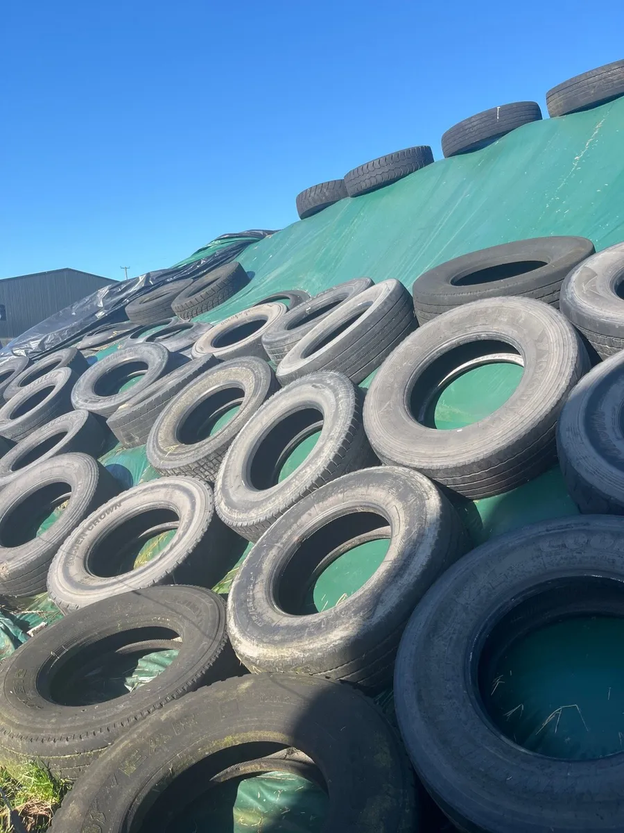 Pit Silage - Image 2