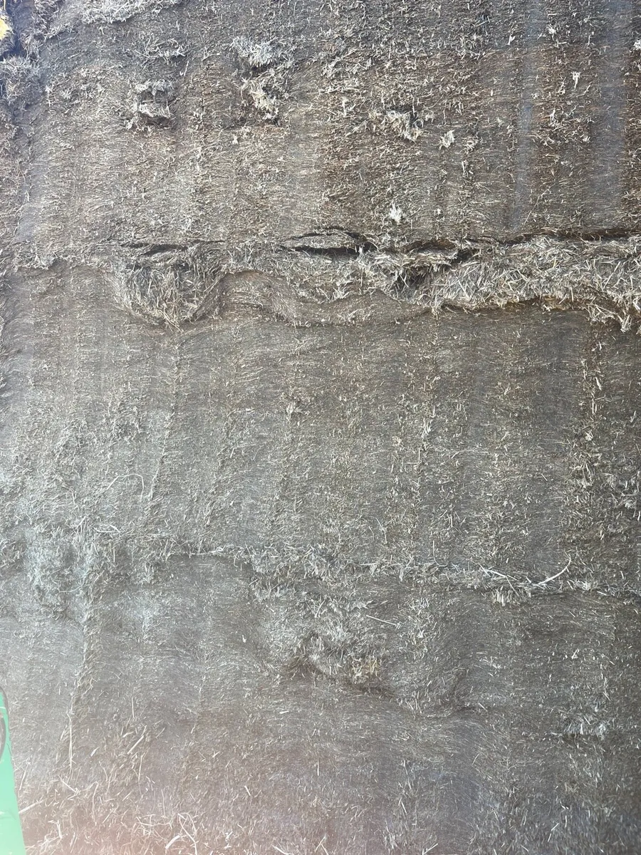 Pit Silage - Image 4