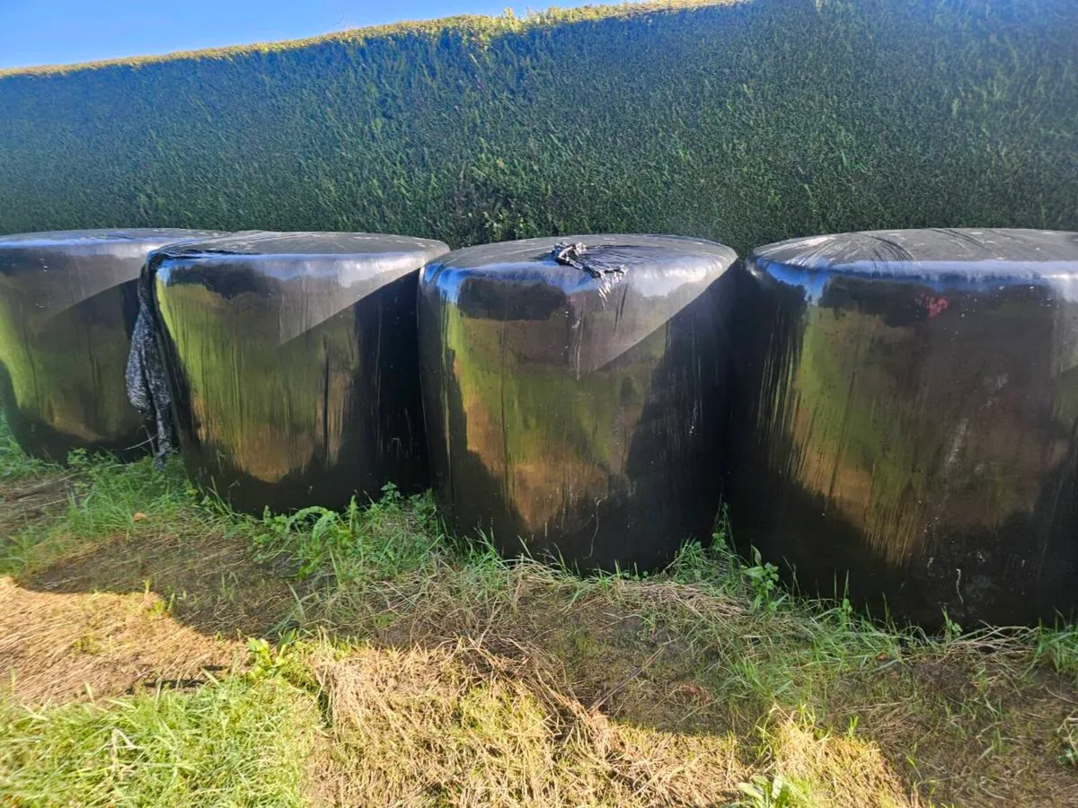 Silage