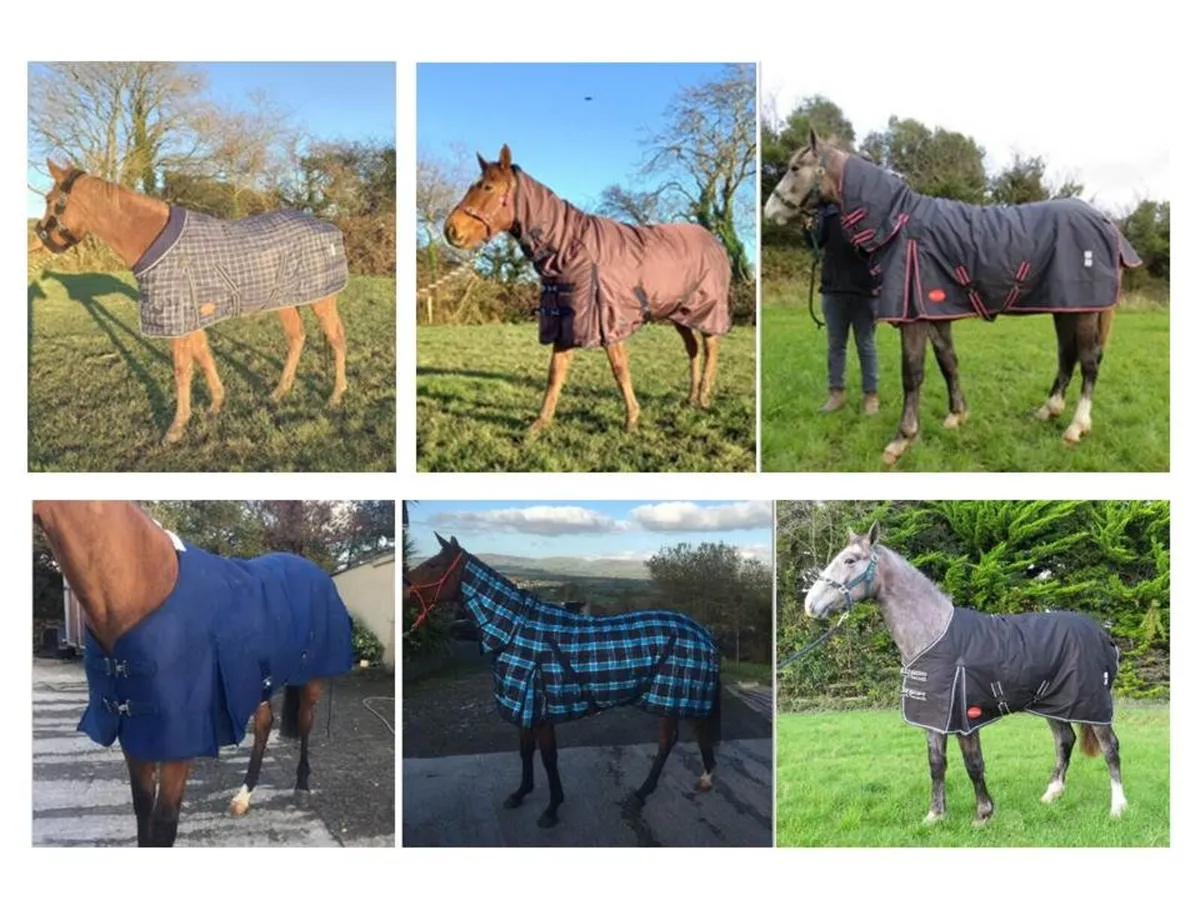 Horse Rugs - Light, Medium and Heavyweight - Image 1
