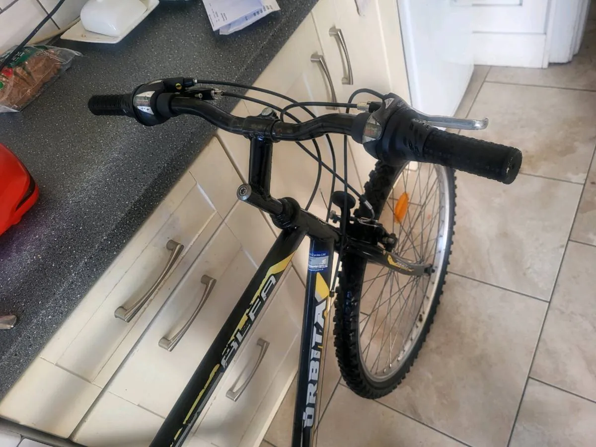 Xl mens mountain bike - Image 3