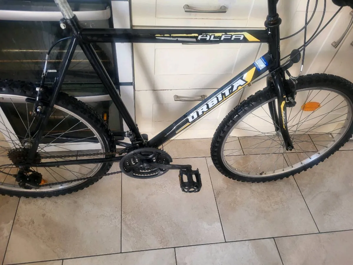 Xl mens mountain bike - Image 4