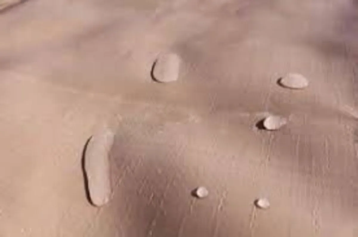 Tarpaulin boat covers for sale - Image 2