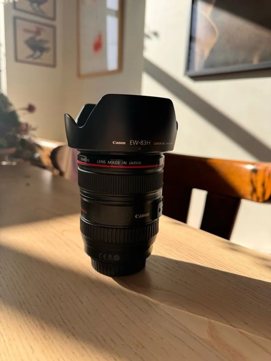 Canon Ef 24-105mm F/4l Is Usm - Image 4