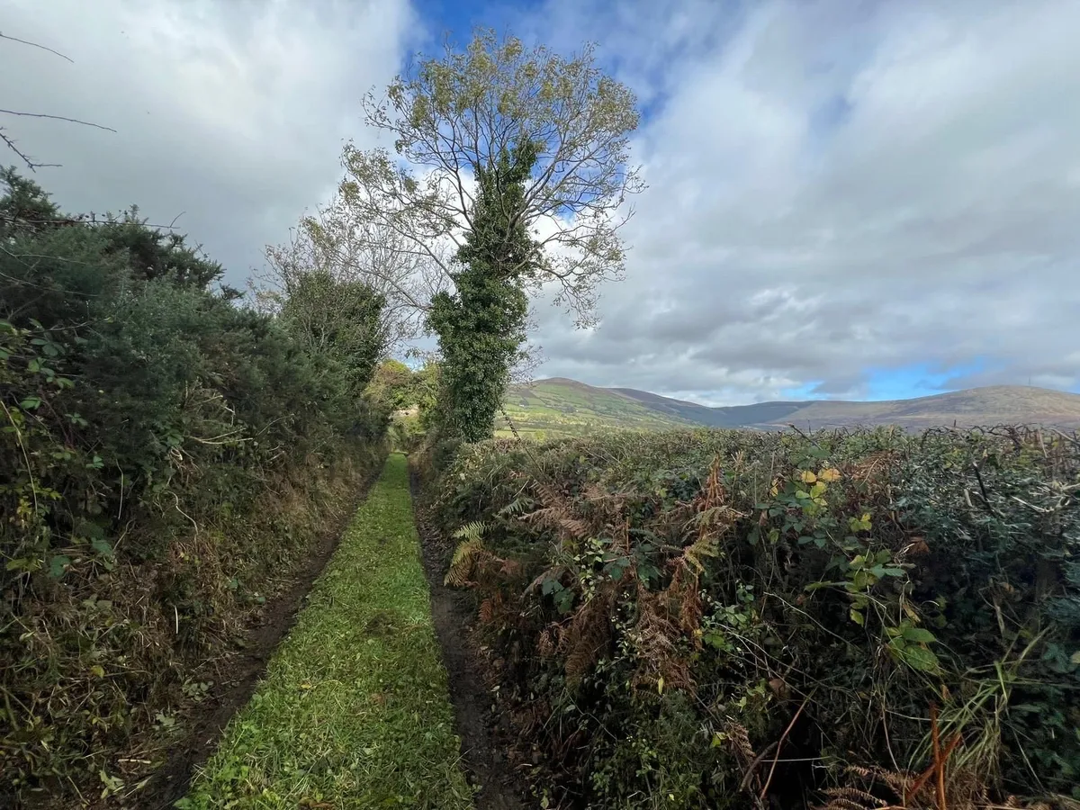 Derelict House for Sale - Image 2