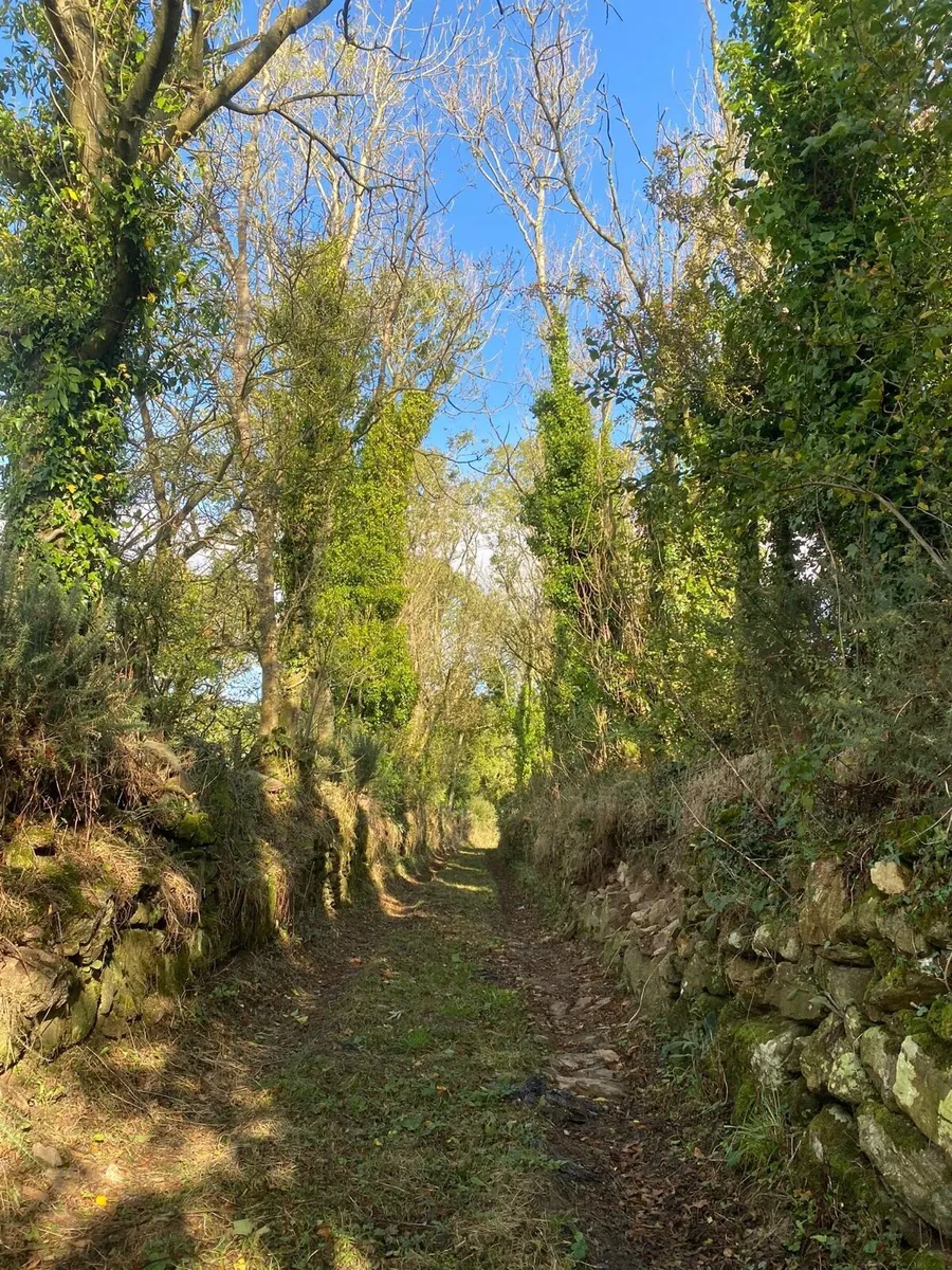 Derelict House for Sale - Image 3