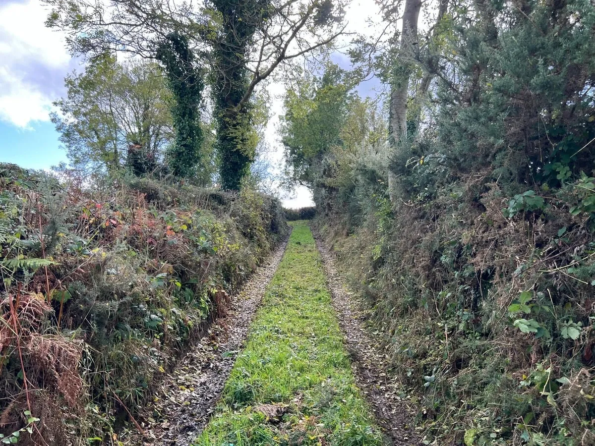 Derelict House for Sale - Image 4