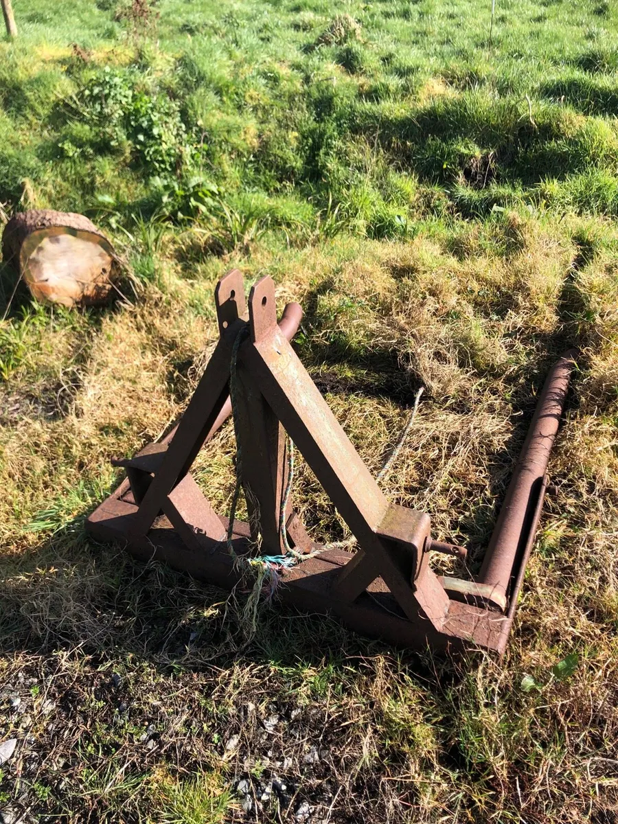 Bale lifter - Image 2