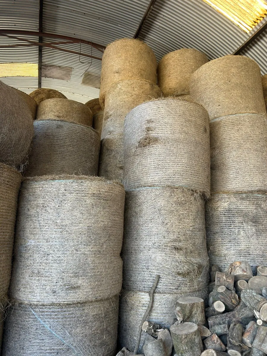 Hay - Image 3