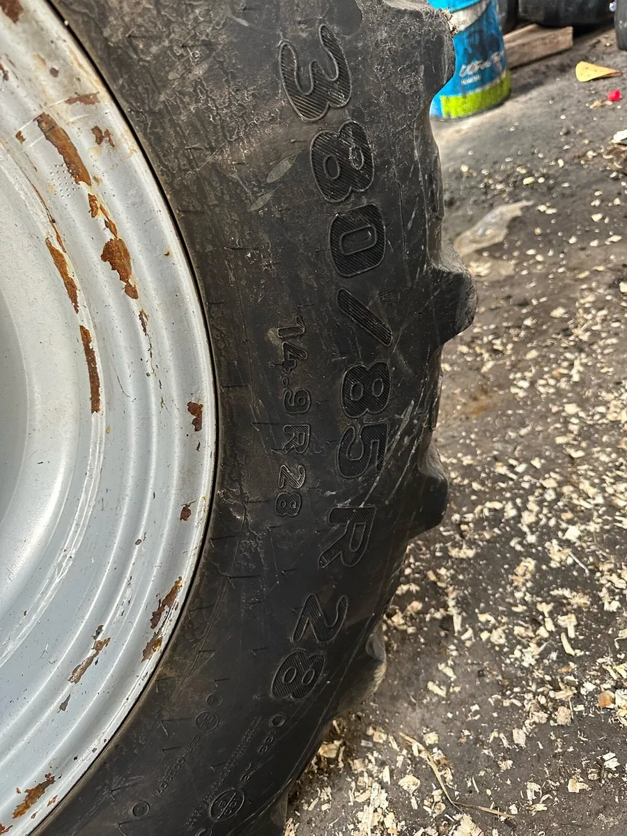 13.6  r24 bkt cross ply tyres - Image 4