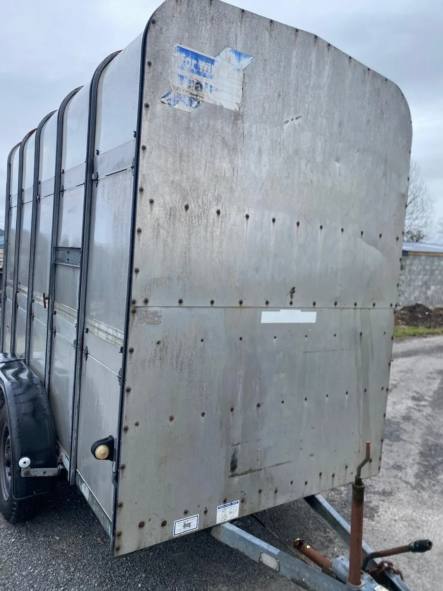 Ifor Williams Cattle Trailer - Image 2