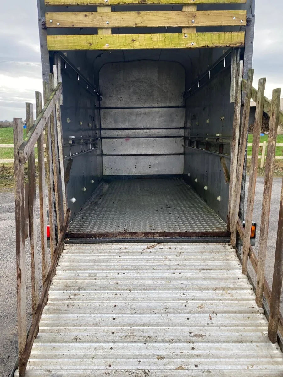 Ifor Williams Cattle Trailer - Image 3