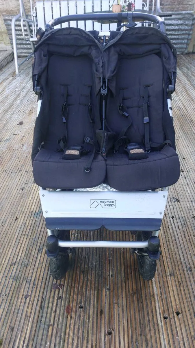 Double Buggy - Image 1