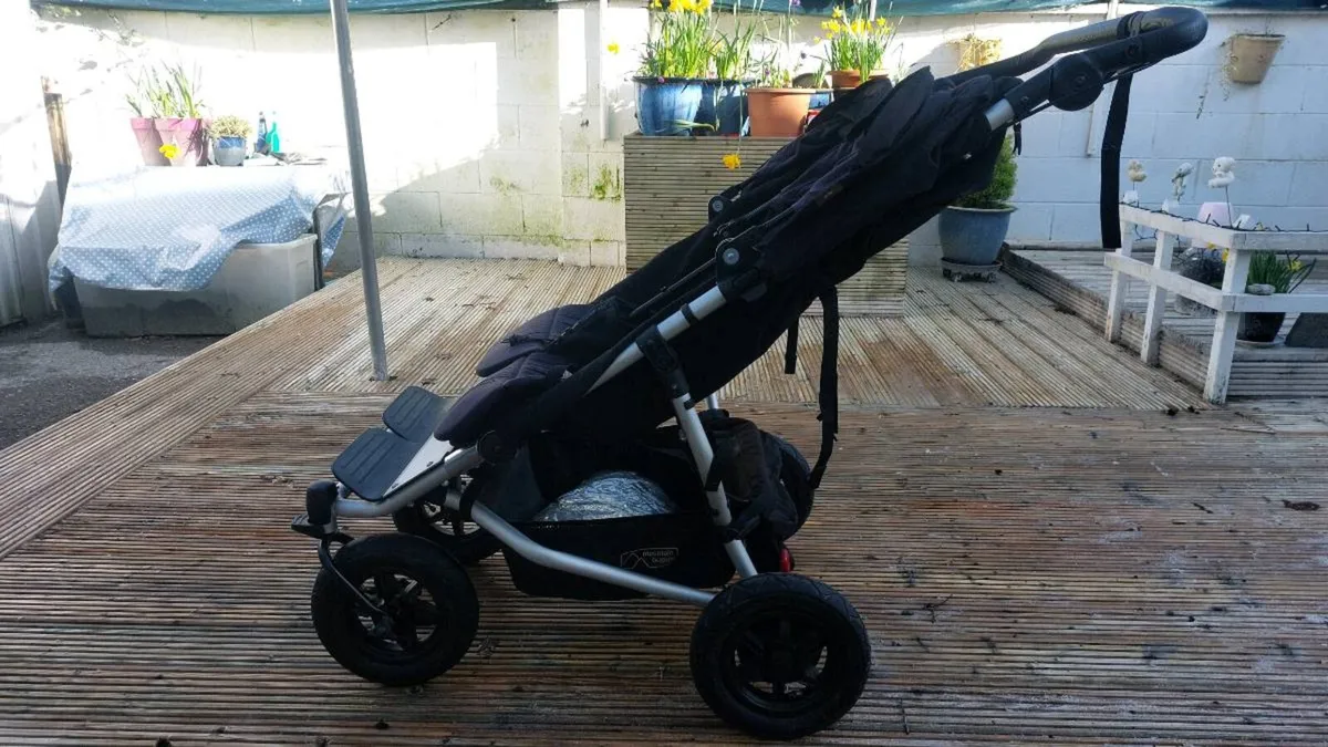 Double Buggy - Image 2