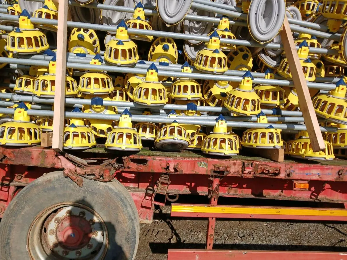 Poultry equipment - Image 4