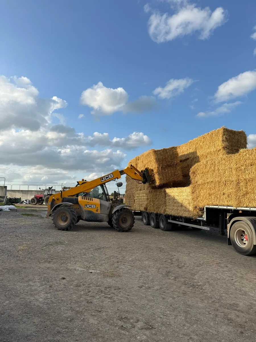 Barley straw for bedding or feeding - Image 2
