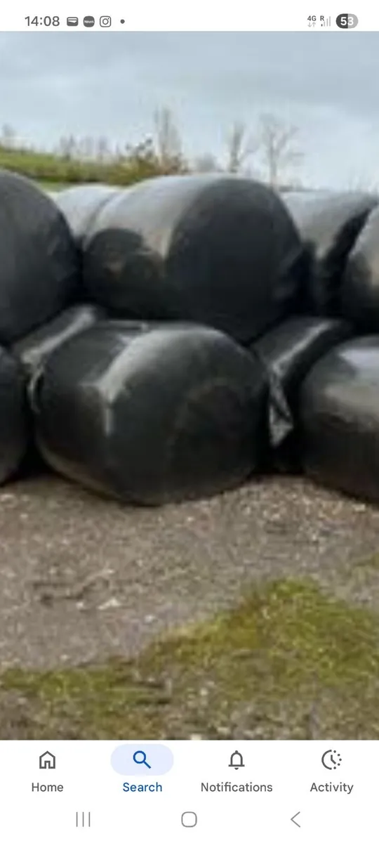 BALES OF SILAGE