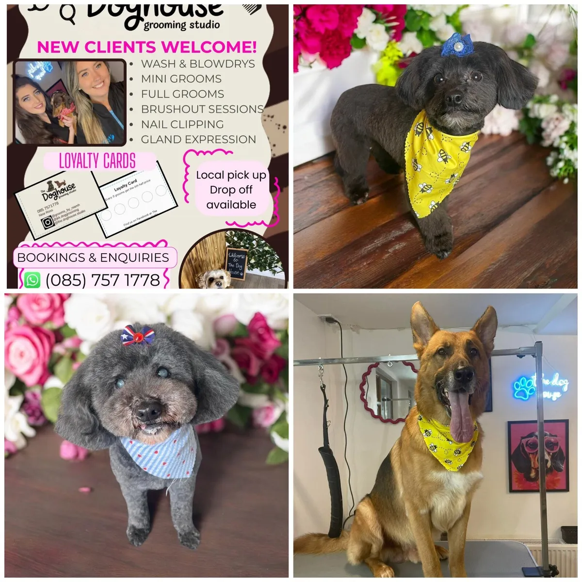 Dog grooming - Image 1