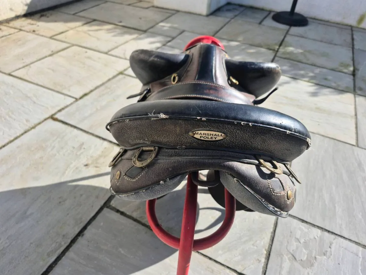 Stock saddles - Image 1