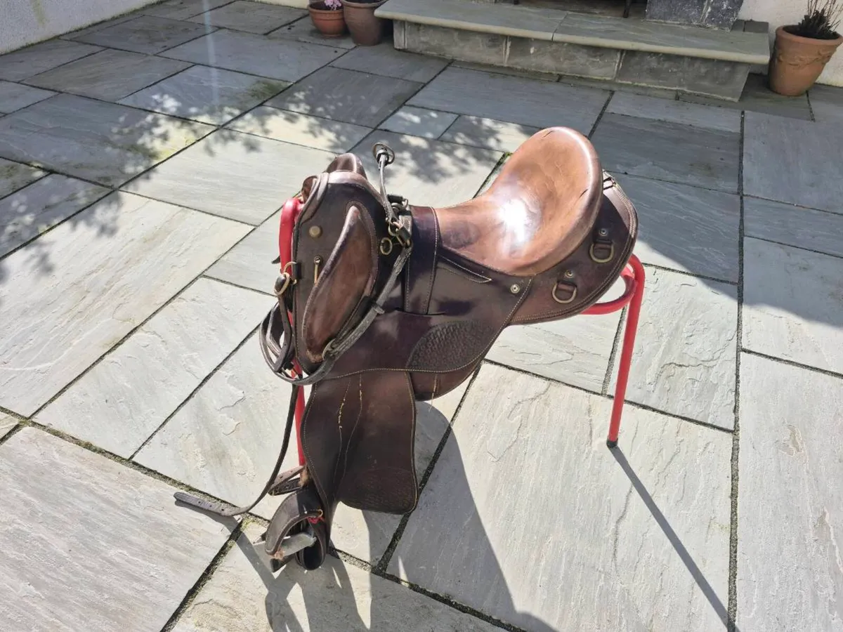 Stock saddles - Image 4