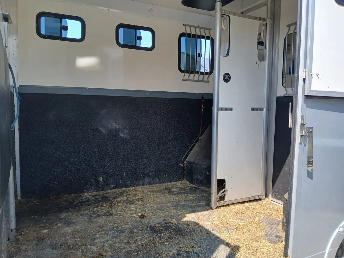 Renault Master Horse Van - Image 2