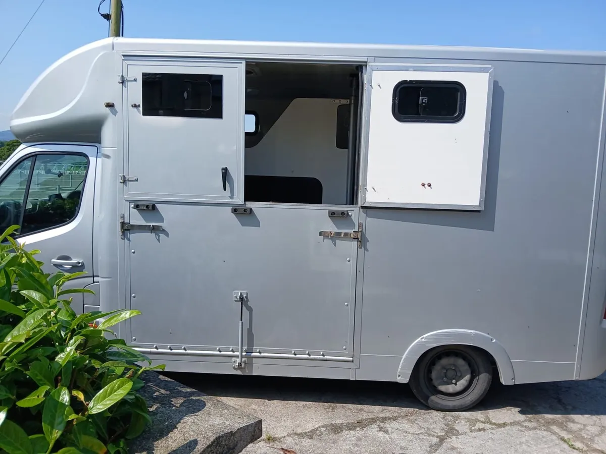 Renault Master Horse Van - Image 3