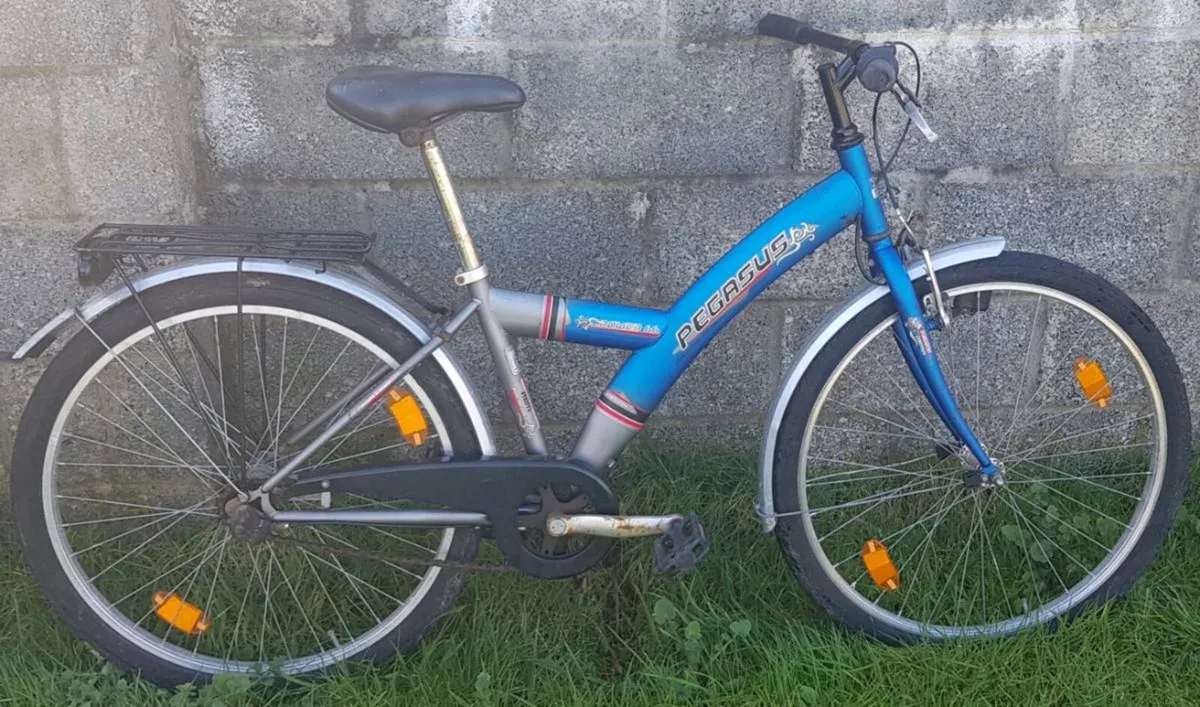 Ladies bike - Image 1