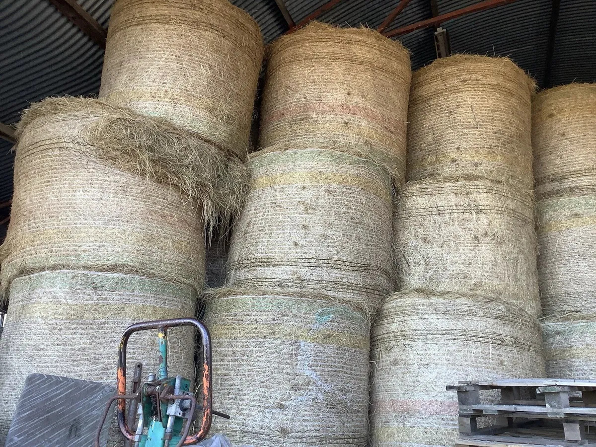 Hay and straw - Image 3