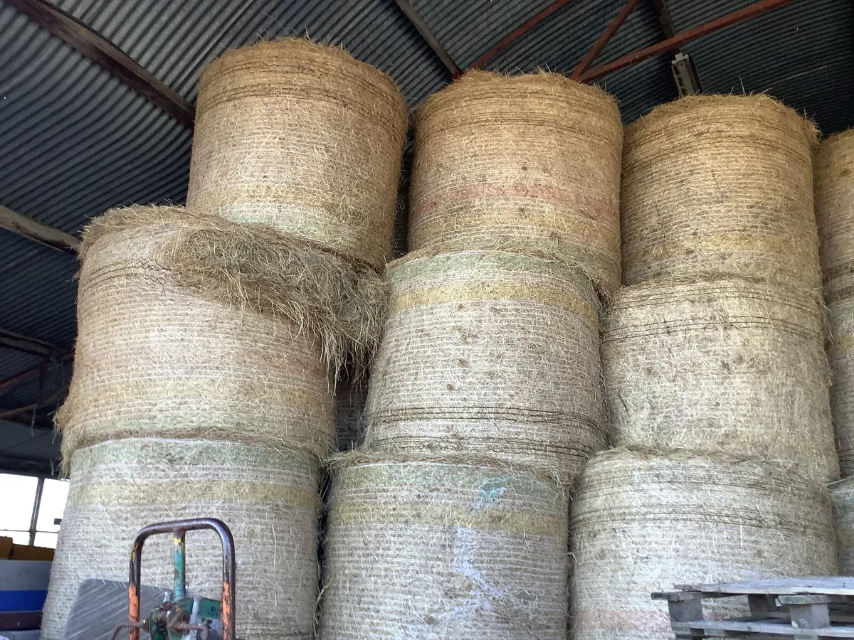 Hay and straw - Image 1