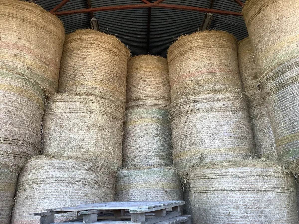 Hay and straw - Image 2