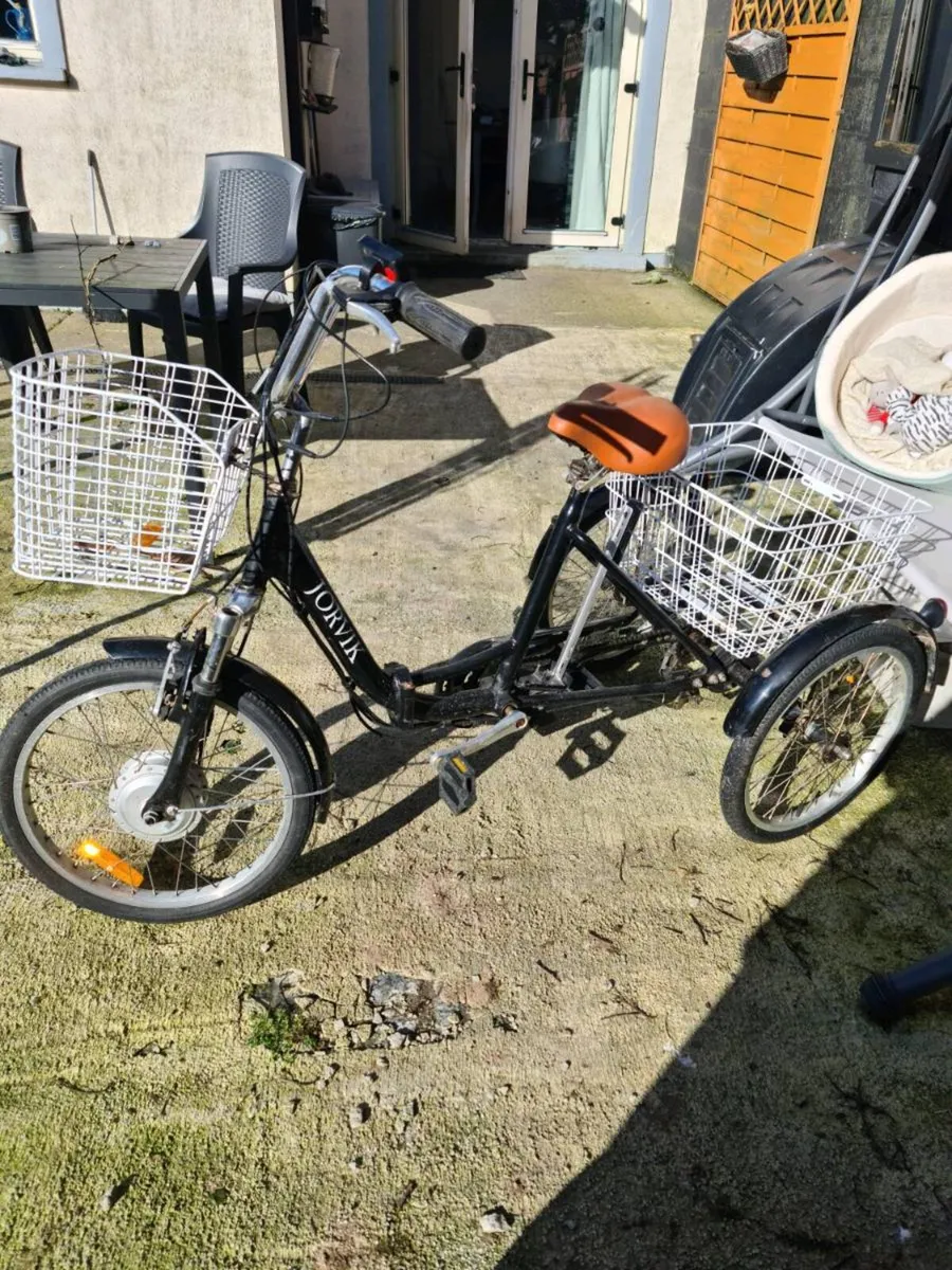 ELECTRIC TRIKE - Image 1