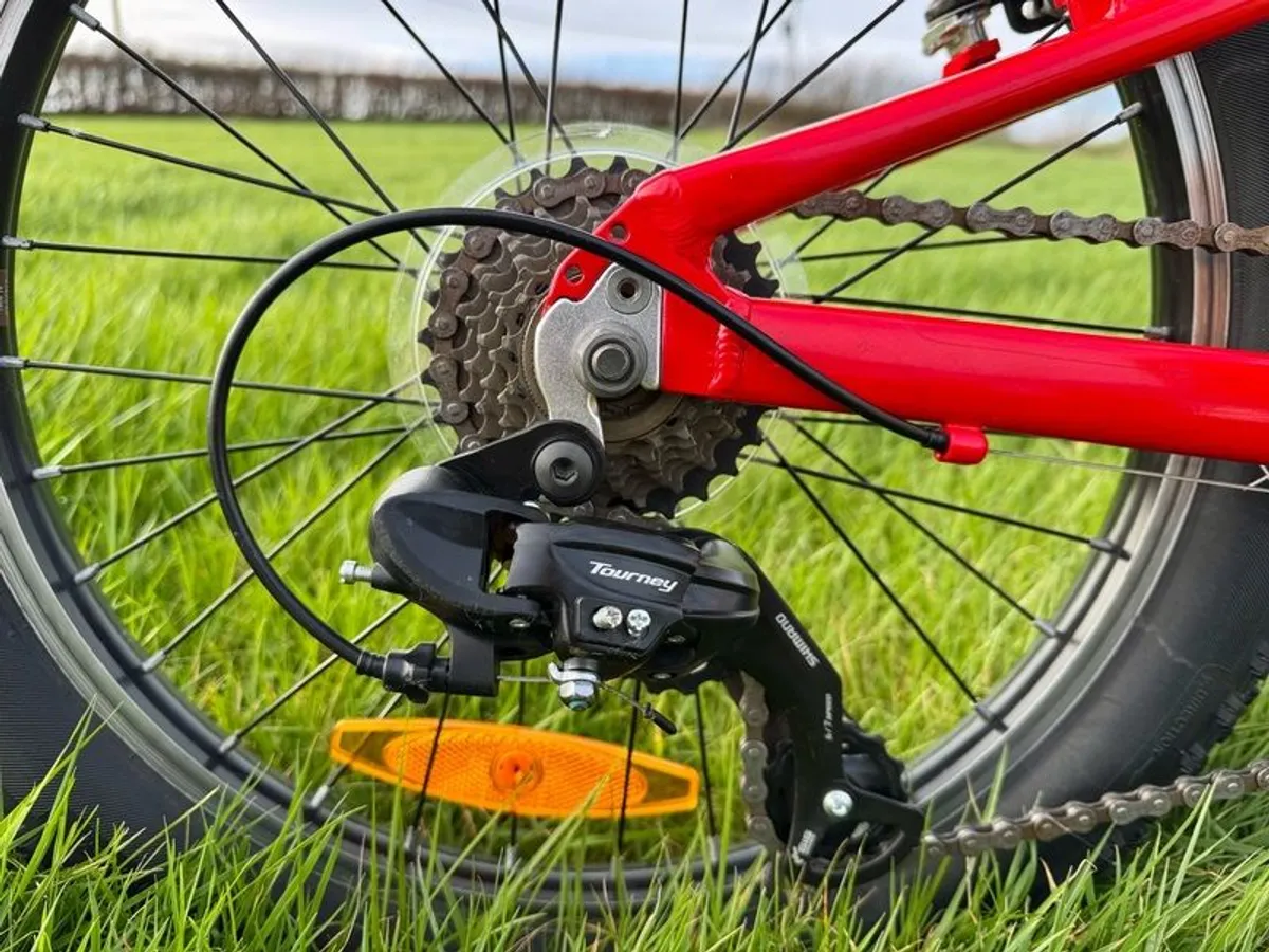 Trek Precaliber 20 - Kids Mountain Bike - Image 4