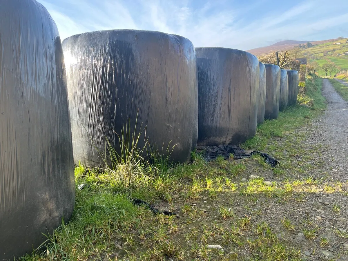 Silage bales
