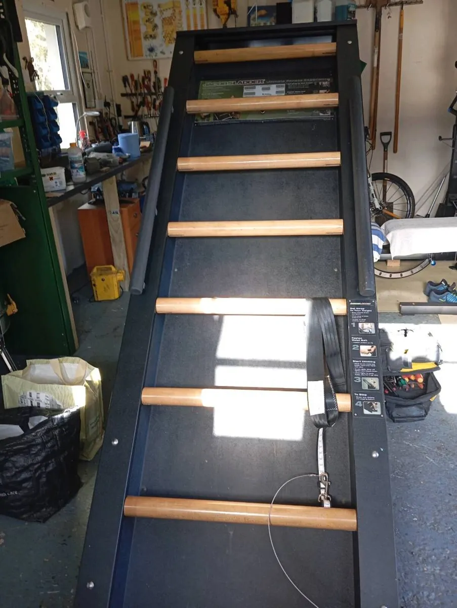 Jacobs Ladder exercise machine - Image 2