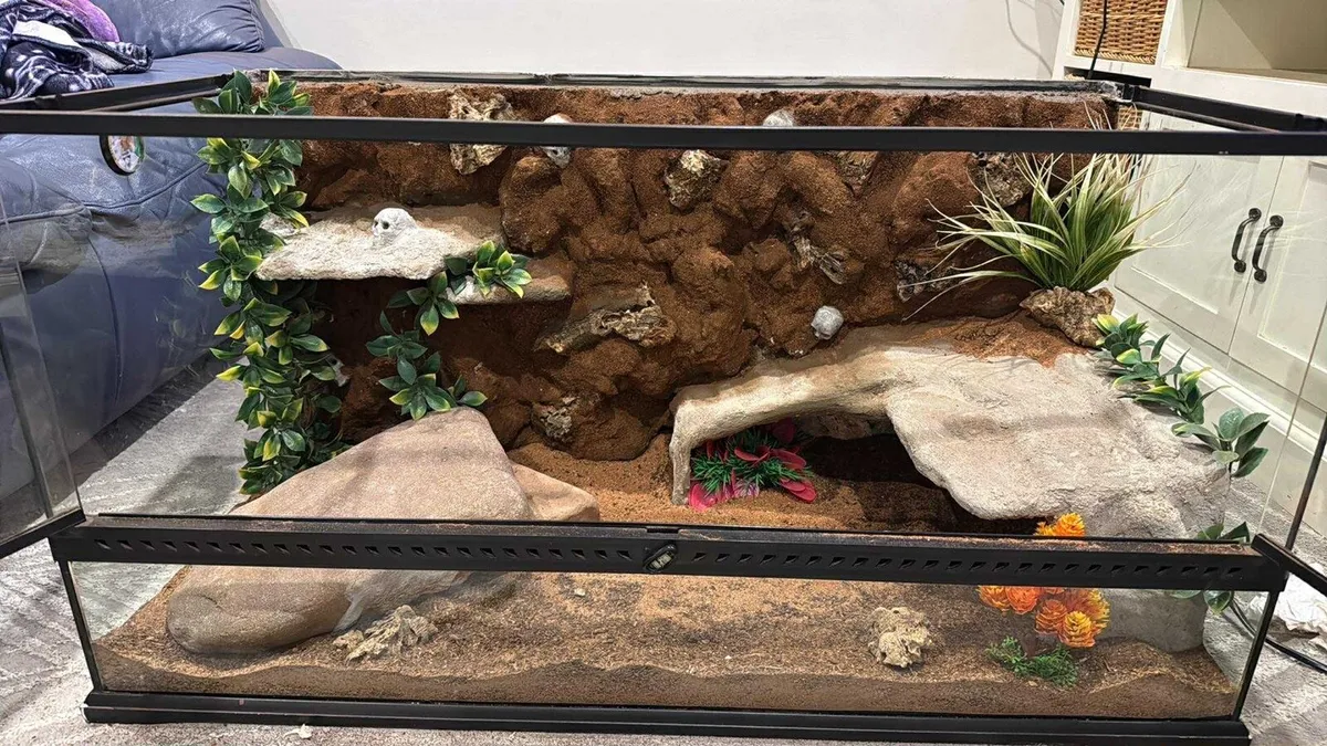 Custom reptile backgrounds - Image 3