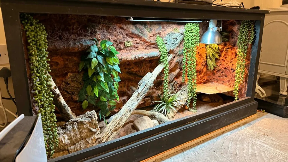 Custom reptile backgrounds - Image 1