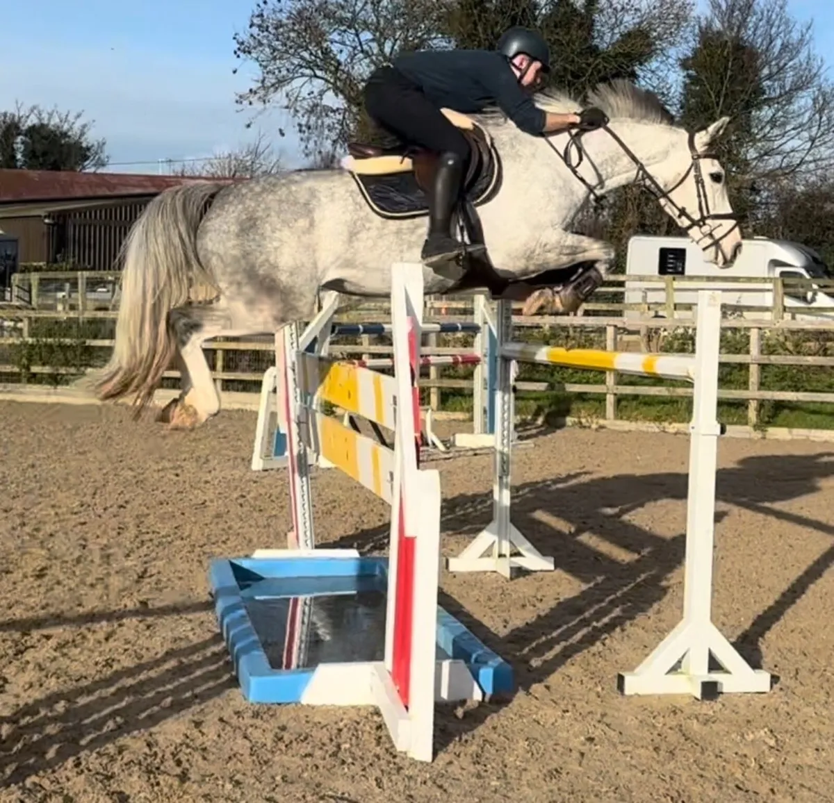 Young riders horse - Image 2