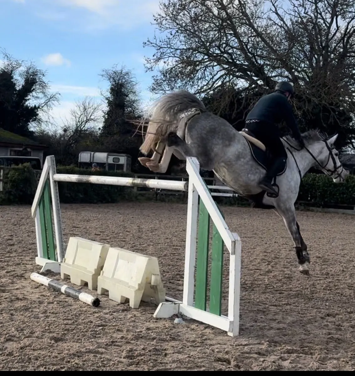 Young riders horse - Image 4