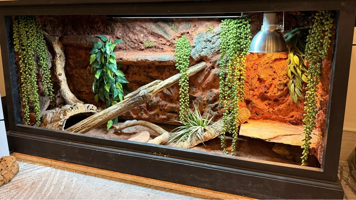 Custom reptile backgrounds - Image 2