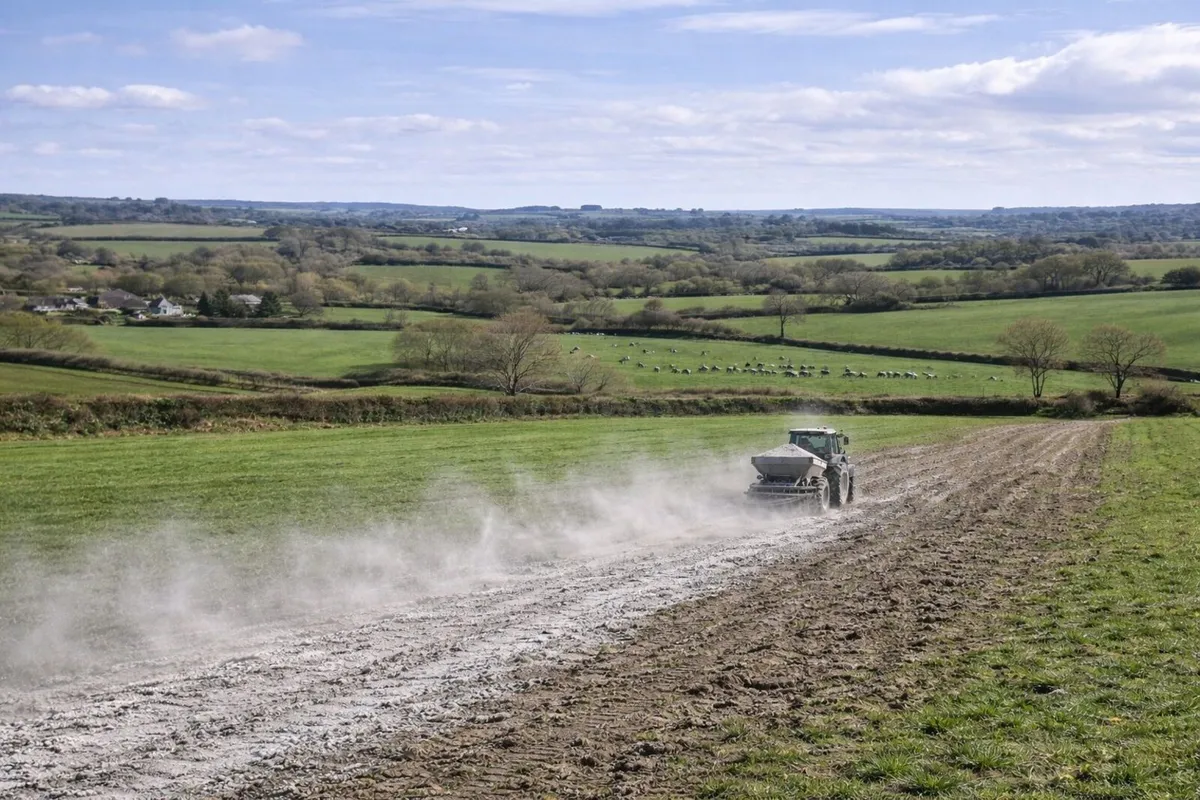 SUGAR FACTORY LIME - Image 4