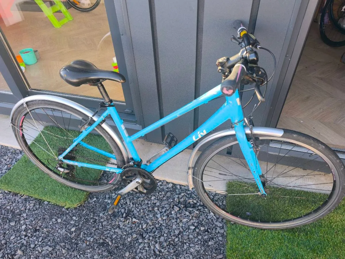 EX RENTAL HYBRID ADULT BIKES - Image 1