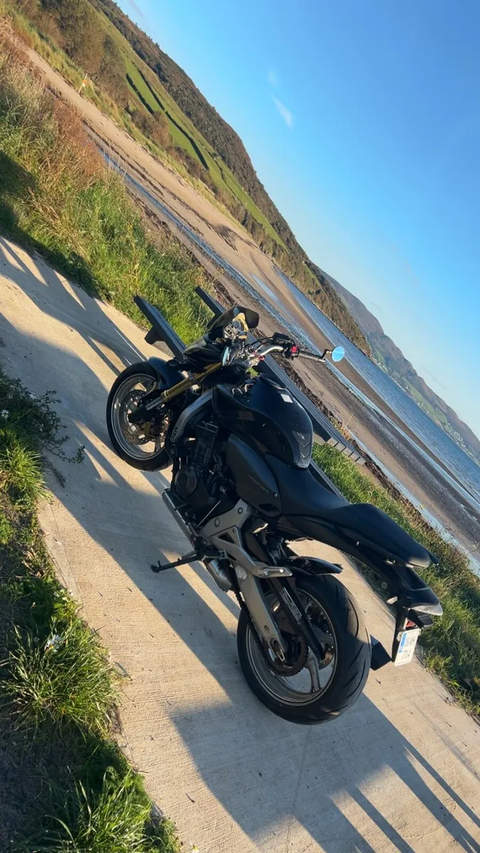 Honda Hornet - Image 2