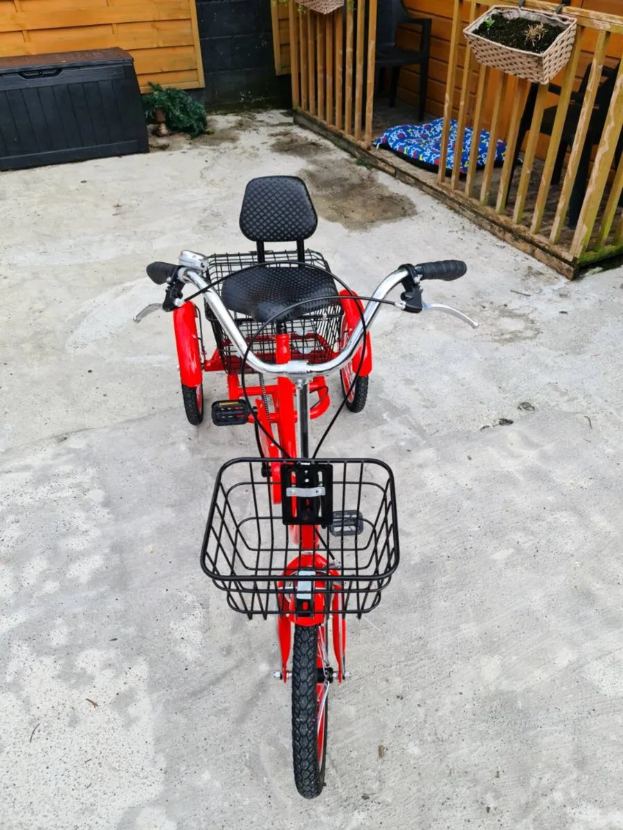 THREE WHEEL TRIKE - Image 1