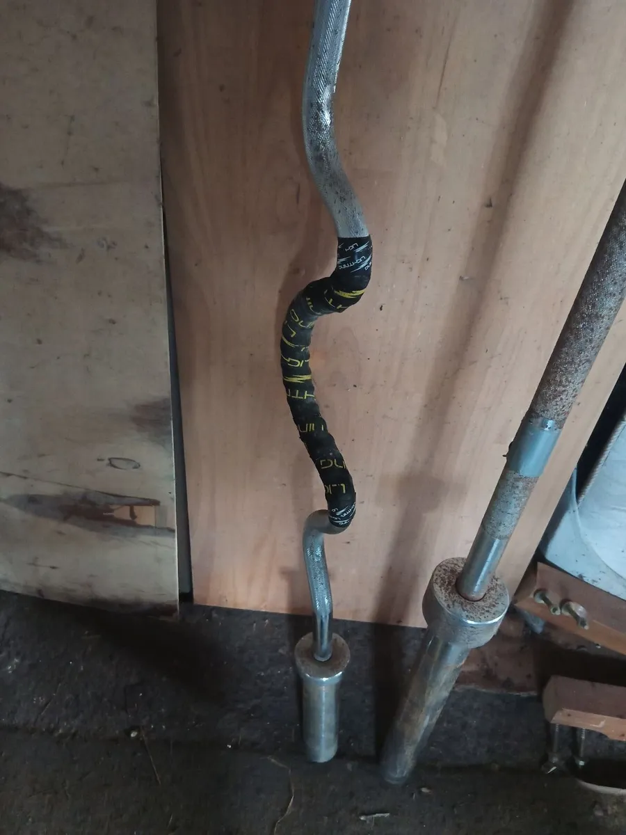 Olympic Barbell and Olympic curl bar - Image 1