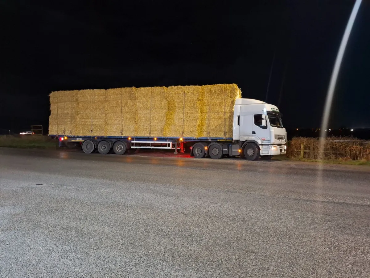 8x4x3s and 4x4s  barley straw x Wexford - Image 1