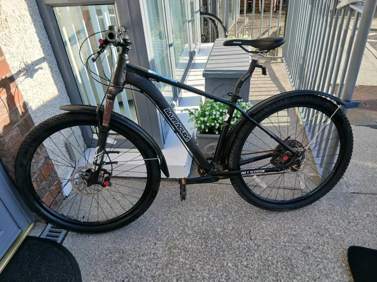 ADULTS BIKE - Image 1