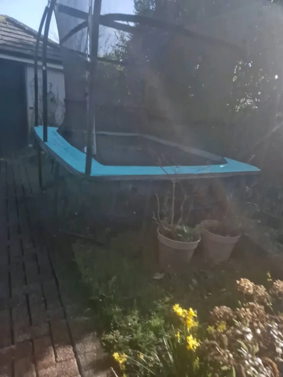 TRAMPOLINE - Image 2