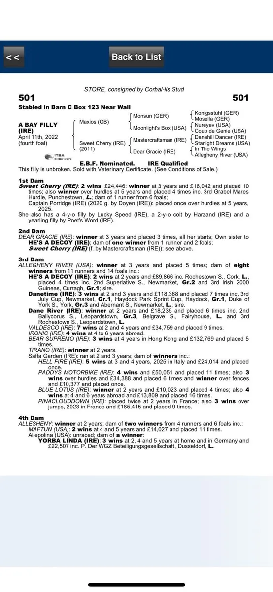 TB winning,blacktype mare - Image 3