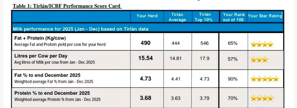 IN CAHIR MART TOMORROW Friesian Cows - Image 2